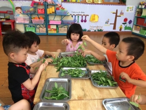 Hè vui bổ ích tại trường Mầm non Thăng Long
