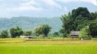 NHỮNG ẤN TƯỢNG VỀ CHUYẾN ĐI BẢN LÁC – MAI CHÂU – HÒA BÌNH NHỮNG ẤN TƯỢNG VỀ CHUYẾN ĐI BẢN LÁC – MAI CHÂU – HÒA BÌNH