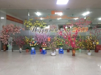 Sắc Xuân ngập tràn chào đón Xuân Kỷ Hợi tại Hệ thống Giáo dục Bill Gates Schools Sắc Xuân ngập tràn chào đón Xuân Kỷ Hợi tại Hệ thống Giáo dục Bill Gates Schools