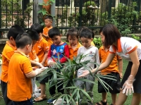 Ngày Hội trồng cây Ngày Hội trồng cây