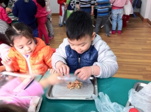 MN tham quan gói bánh chưng và làm món nem rán