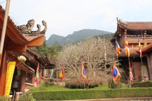 Chuyến du xuân đầu năm Mậu Tuất 2018 của Hệ thống giáo dục Bill Gates!